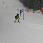 phoca_thumb_m_lye zvody 59 Fotogalerie